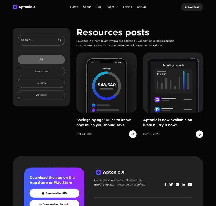 Hero Strip - Aptonic X Webflow Template